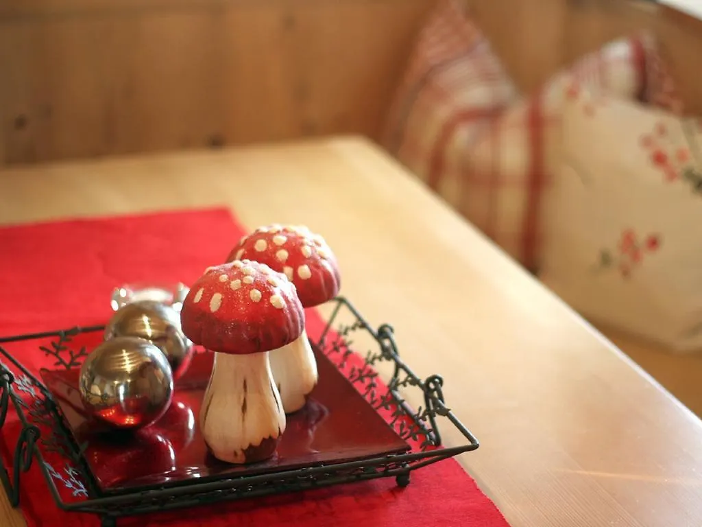 Gästehaus Alpin Oberstdorf Apartment